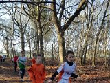 2016-01-10 Cross Etten-Leur - 042  IICSA   II